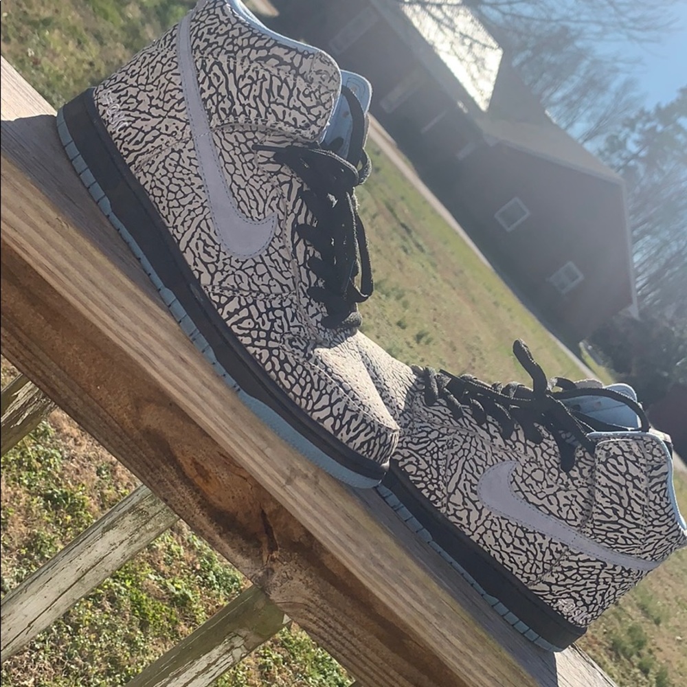 Nike Dunk SB High